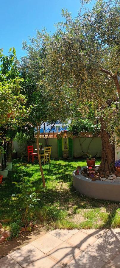 Apartment Nikos Limenaria (Thasos) Exterior foto