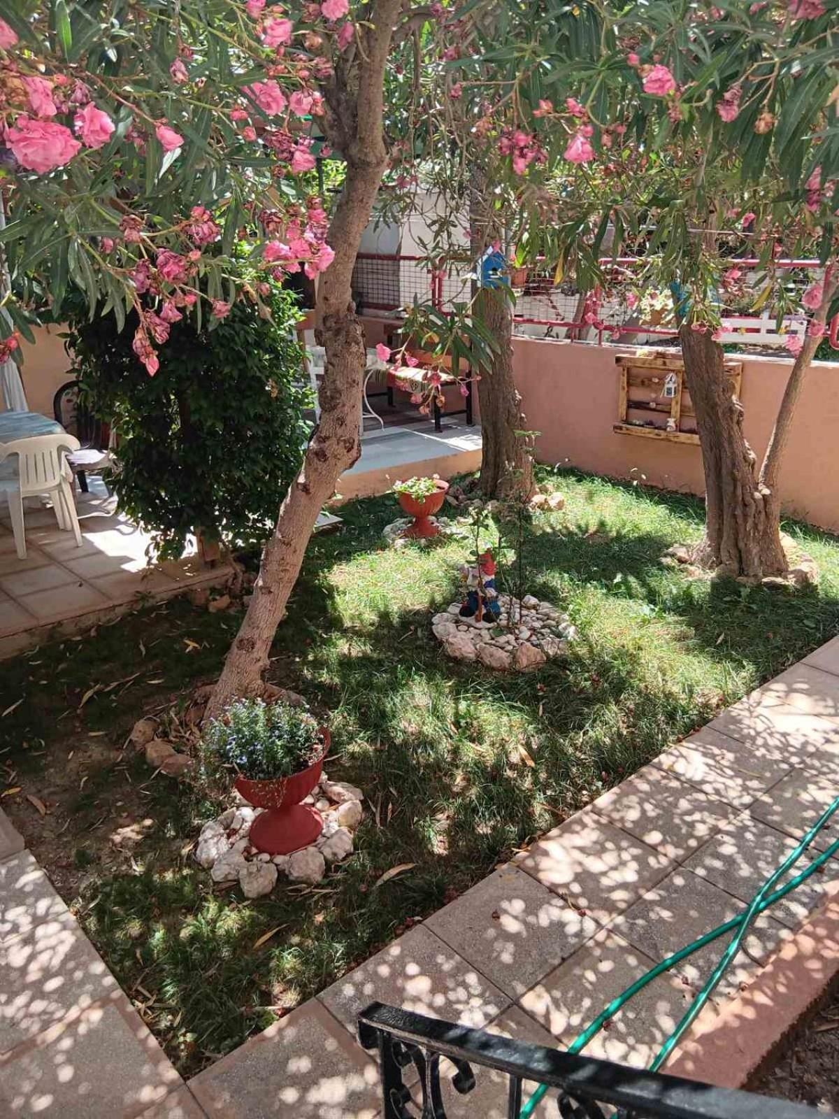 Apartment Nikos Limenaria (Thasos) Exterior foto