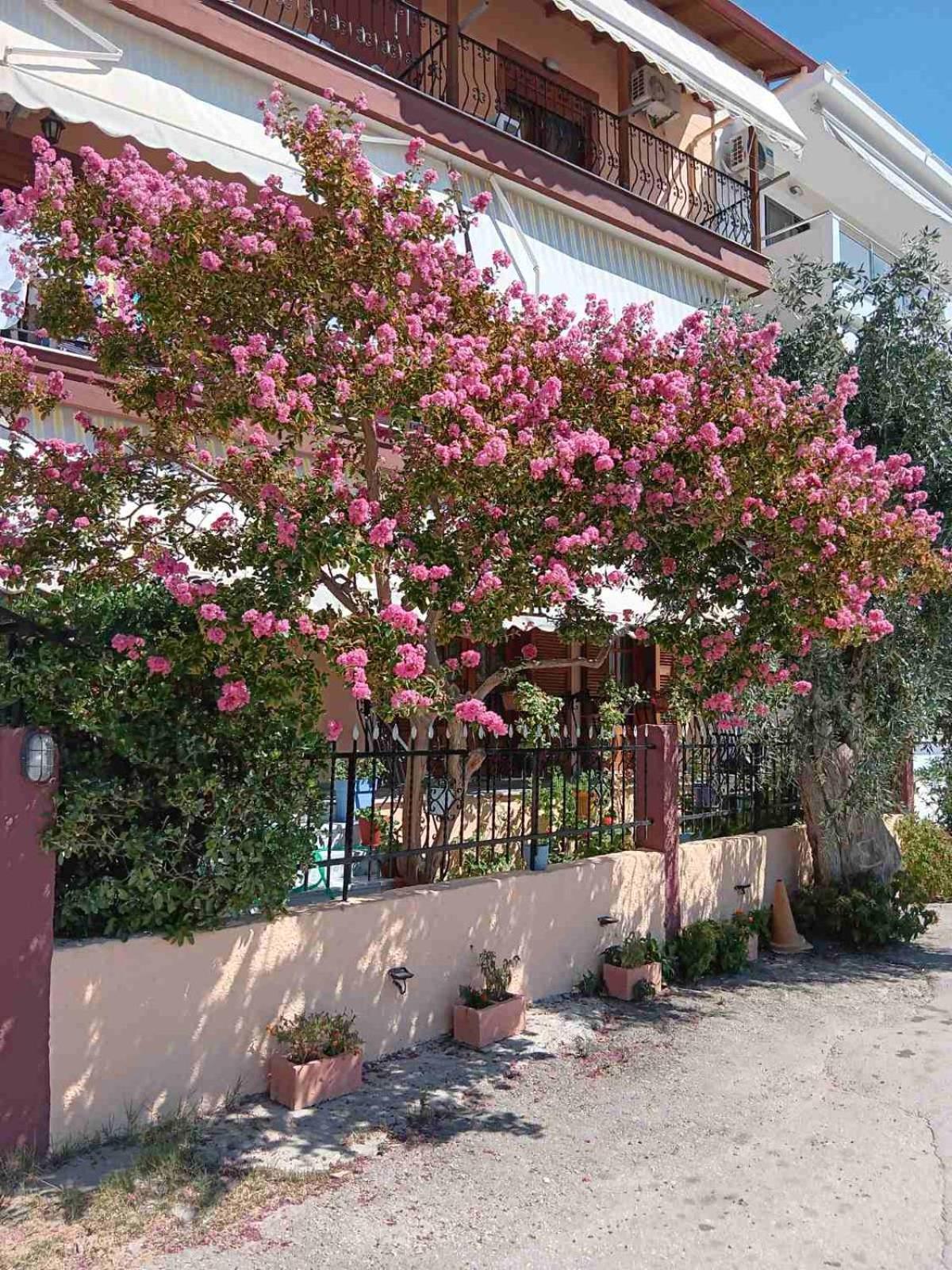 Apartment Nikos Limenaria (Thasos) Exterior foto